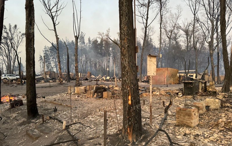 Un sat întreg a ars într-un incendiu de pădure, în Ucraina. Patru oameni au murit și peste o mie de case au fost făcute scrum