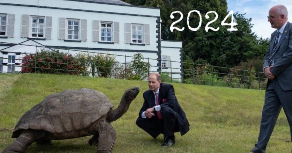 Jonathan, țestoasa gigant, încă trăiește la aproape 200 de ani. Foto: X.