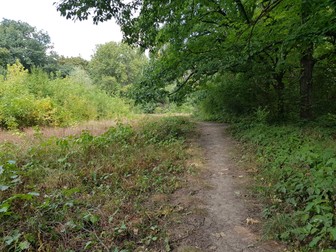 Așa arată Parcul Verdi acum