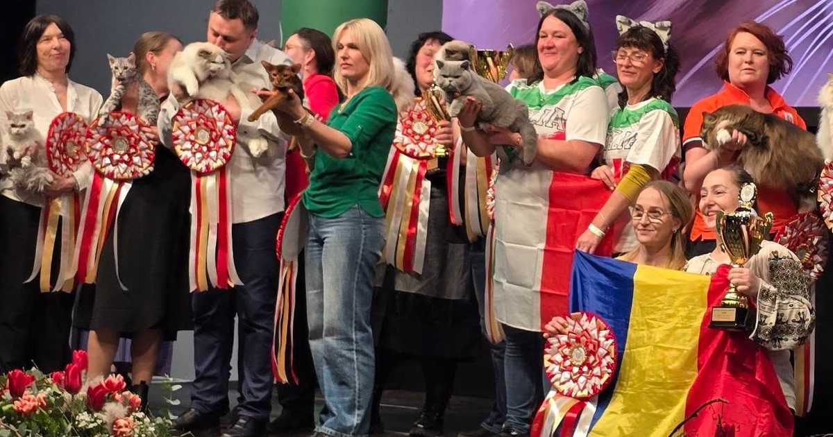 Imaginea surprinde mai mulți participanți la o competiție felină, fiecare ținând în brațe pisici de rasă premiate, decorate cu rosete și trofee. În prim-plan se află o participantă care ține un trofeu și un steag al României, sugerând succesul reprezentanților români la acest eveniment.