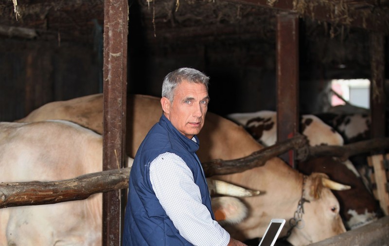 LIBERTATEA TE AJUTĂ: APIA începe plata subvențiilor pentru animale