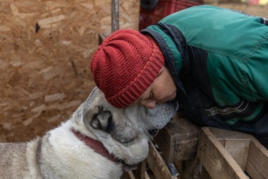 Tanţi îl salută pe unul dintre câinii din adăpost