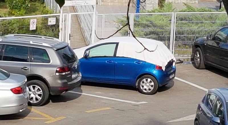 Arhiva foto