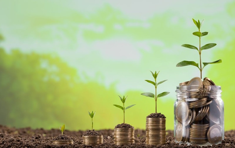 Importanța serviciilor de intermediere financiară: cu ce ne pot ajuta pe plan personal?