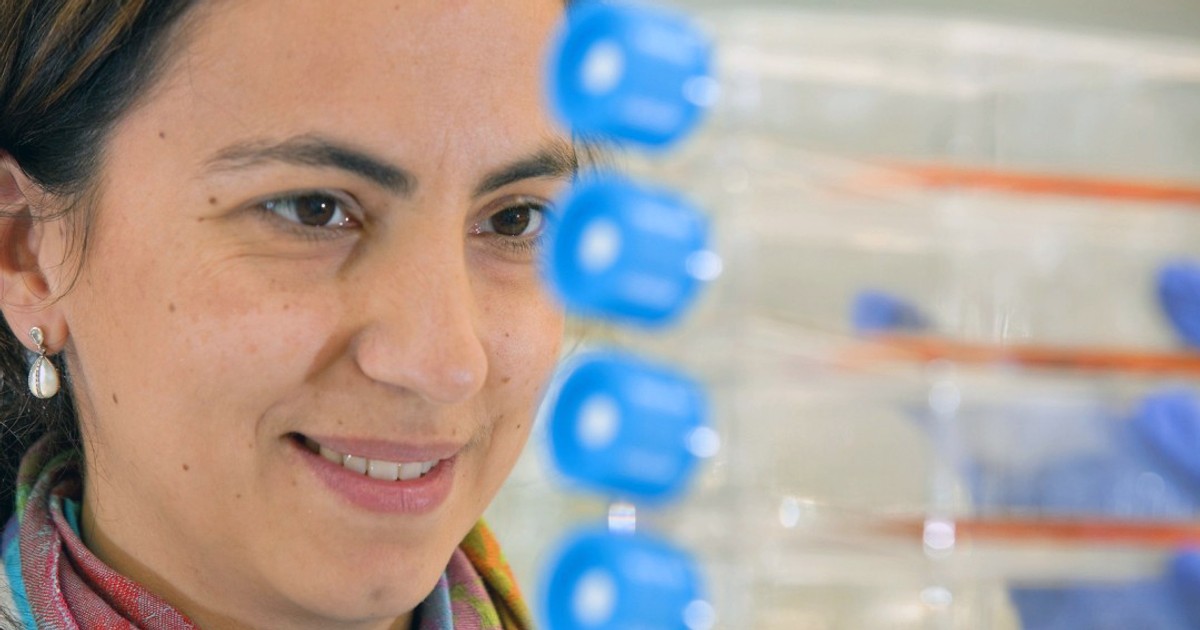 Daniela Bota, în laboratorul facultății din Irvine, unde este vicedecan pentru cercetare