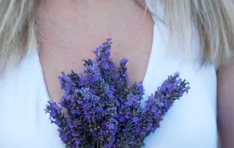 Care sunt remediile din plante pentru arsurile solare?