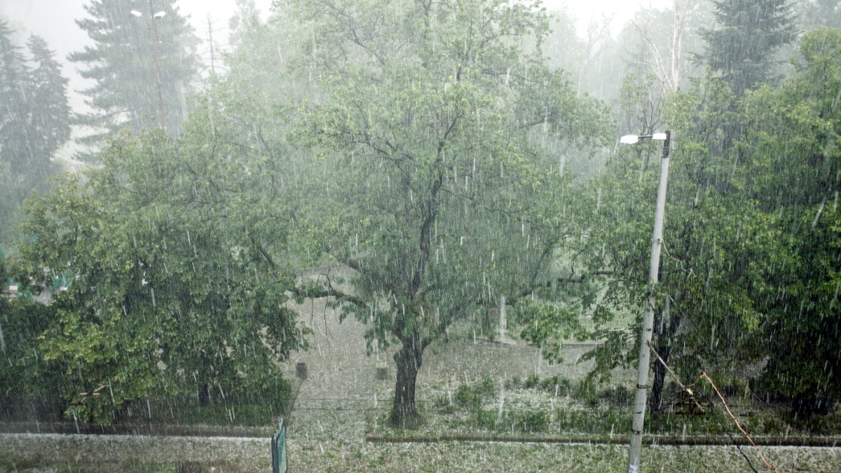 Furtună cu grindină într-un parc