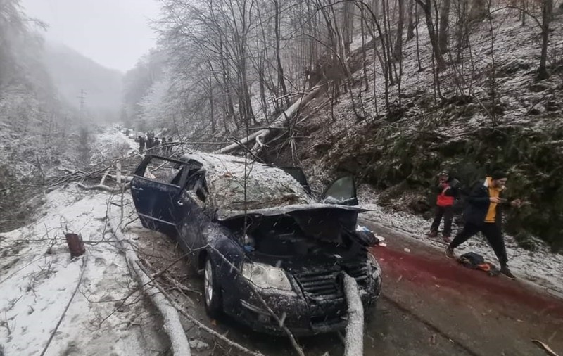 Un copac a căzut peste mașina unei familii. Copilul a murit, părinții la spital