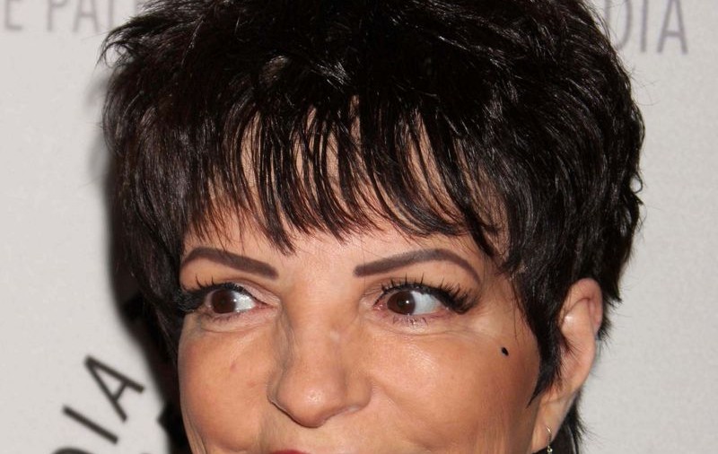 Liza Minnelli se alătură distribuţiei din "Betty cea urâtă"