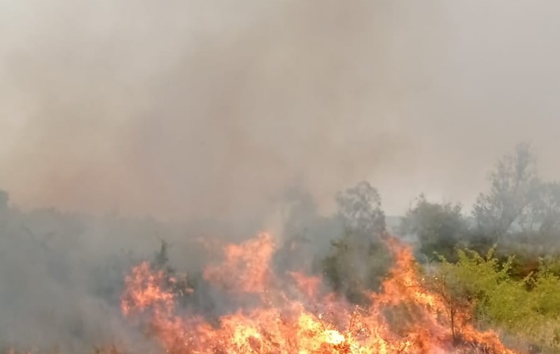 Incendiile forestiere și de vegetație îngrijorează autoritățile. Decizia ministrului mediului