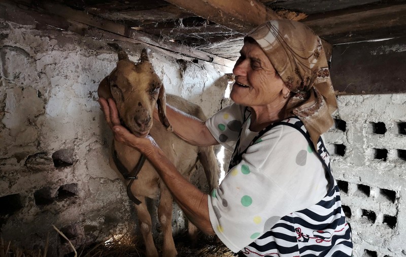 CREVEDIA. Viața după ce ai pierdut aproape tot puținul pe care l-ai agonisit: „Mi-a luat căprițele cu care mă hrăneam. Îmi pare rău că au murit în suferință”
