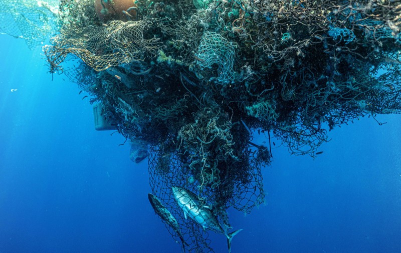 Marea insulă de gunoi din Pacific a devenit atât de mare, încât pe ea s-a dezvoltat un întreg ecosistem
