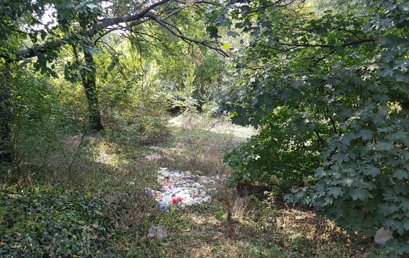Aici sunt banii dumneavoastră! 50 milioane de euro pentru o junglă: Parcul Verdi, plin de gunoaie, achiziția controversată a Primăriei Capitalei