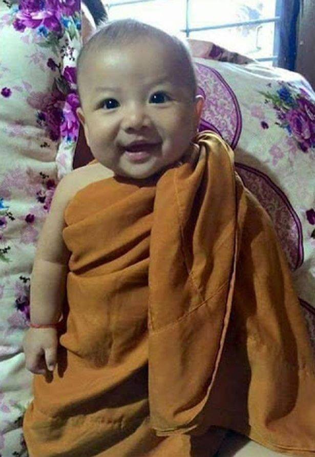 Arhiva foto