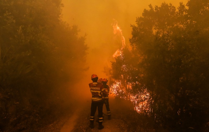 Incendiile devastatoare din Portugalia ar fi putut fi provocate intenționat