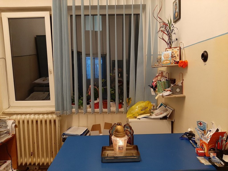Biroul Ancăi Patriche