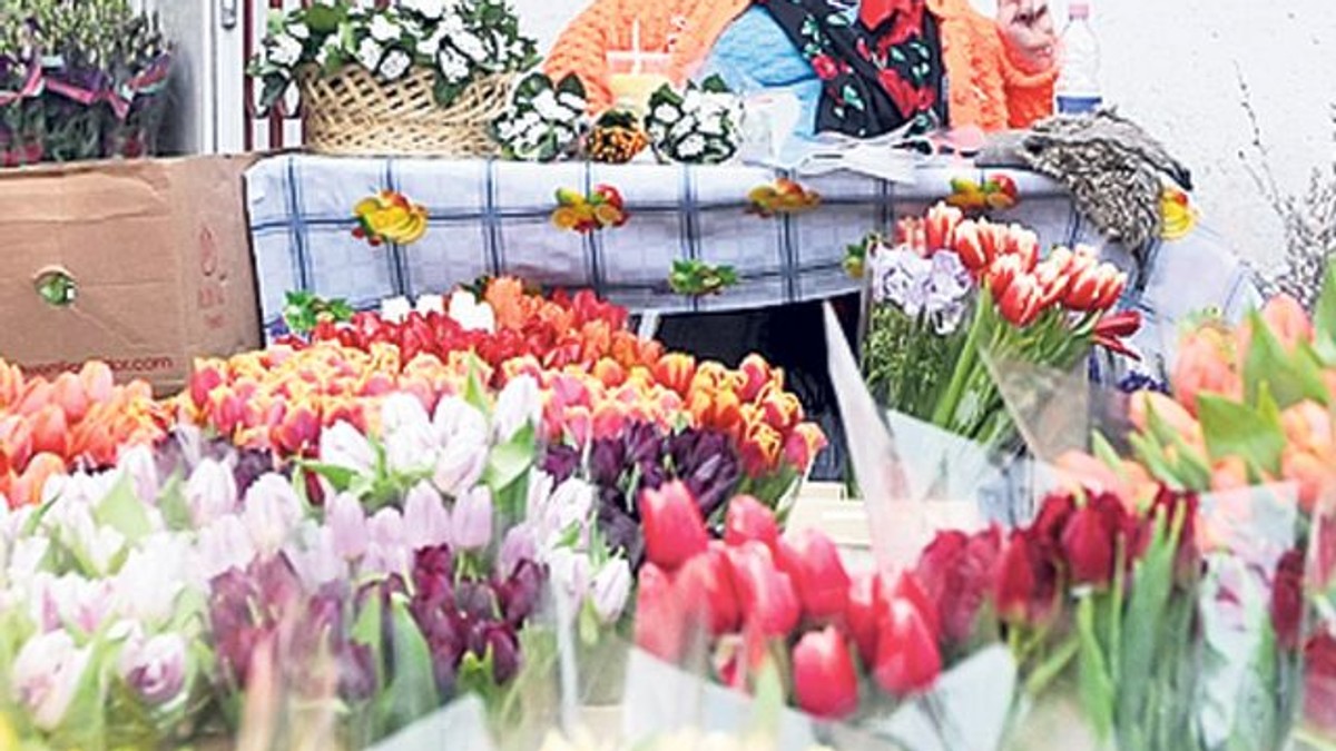 Arhiva foto