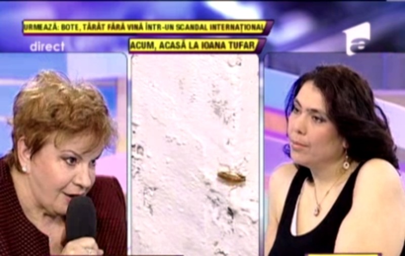 Ioana Tufar, DESFIINŢATĂ de Ionela Prodan: "Fetiţo, mi-e ruşine să stau lângă tine, MI-E FRICĂ SĂ NU IAU VREO BOALĂ DE LA TINE! Du-te la muncă!"