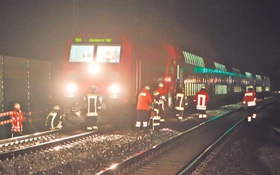Arhiva foto