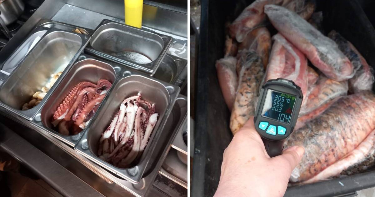 Colaj cu tăvi metalice cu fructe de mare și pește depozitat într-un recipient, verificat cu un termometru digital de către un inspector.