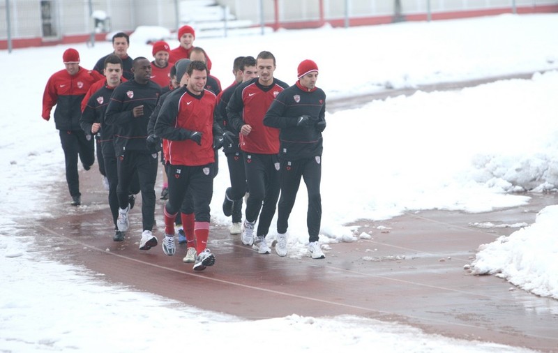 Foto | S-au reunit "câinii"