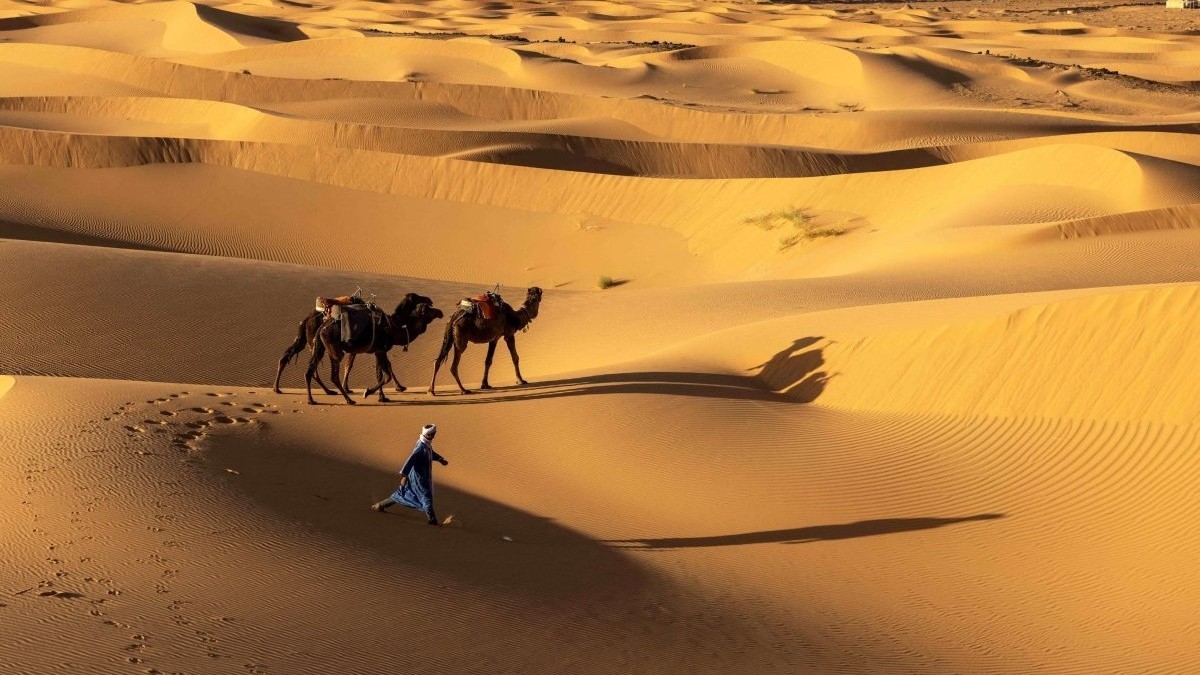 Sahara era verde în urmă cu 8.000 de ani Descoperire istorică într-o peșteră din Maroc. Sursă foto: Hepta.