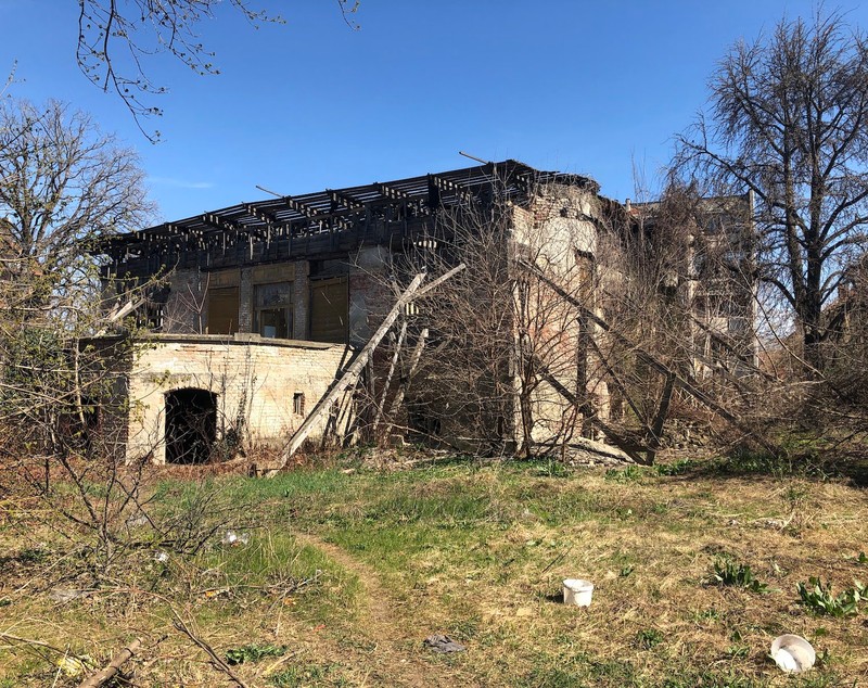 Povestea casei Mühle din Timișoara. În spatele ruinelor se află o familie fabuloasă. Wilhem Mühle a creat Parcul Central din Timișoara, fiul lui, Arpad, a contribuit la amenajarea Parcului Cișmigiu