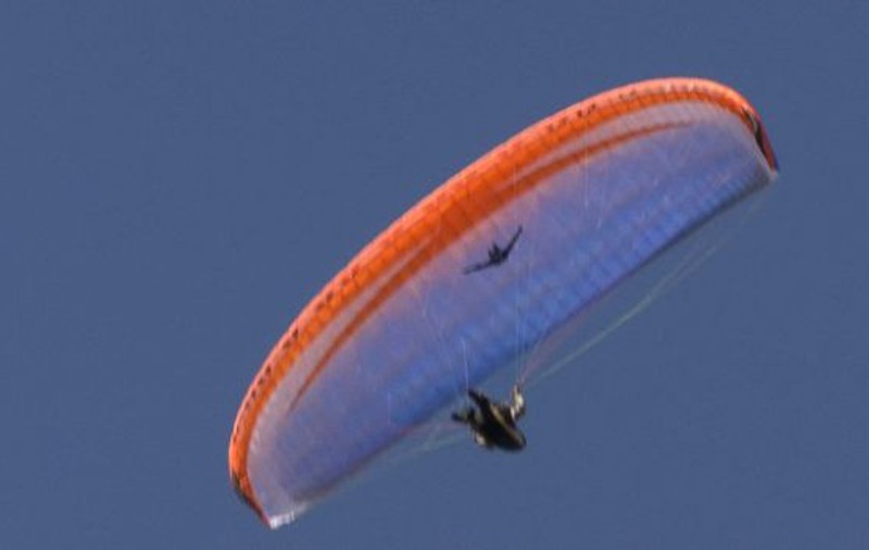 Parapantist ucis de elicea paramotorului său, în județul Timiș