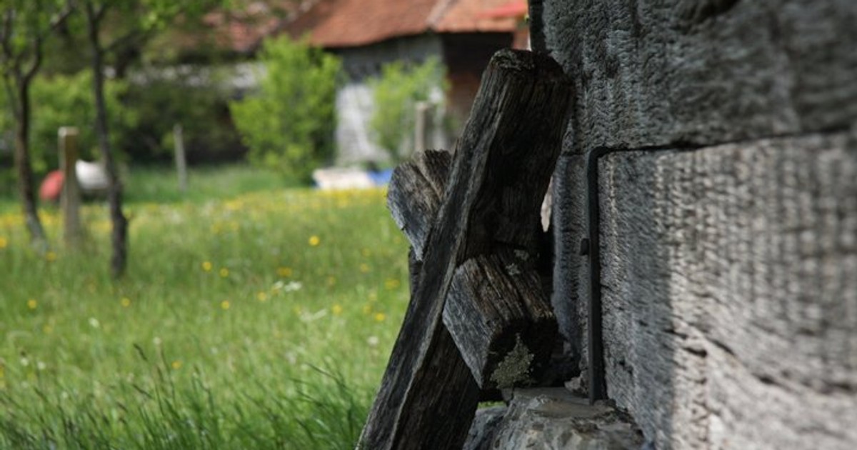 Arhiva foto