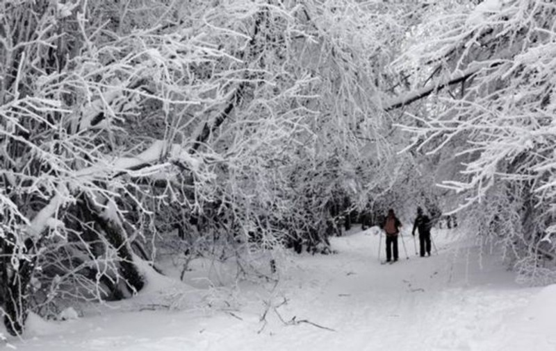 Meteo. Cum va fi vremea în următoarele zile