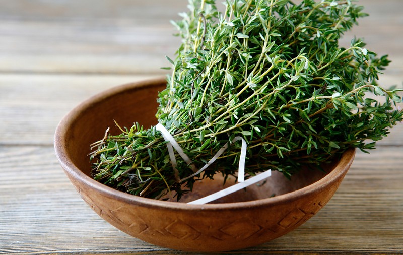 Top 50 de condimente, mirodenii și ierburi aromatice care se folosesc în România