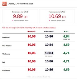 Infografic realizat cu ajutorul Inteligenței Artificiale