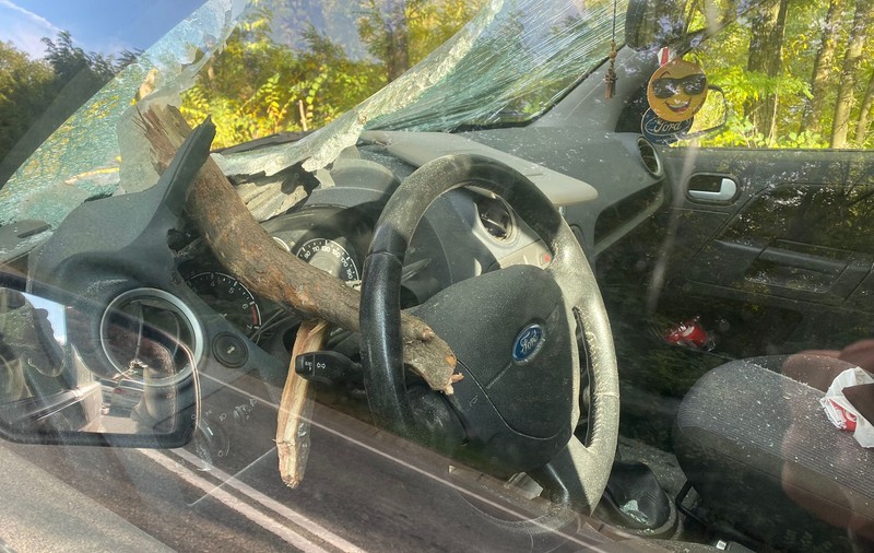 Un copac s-a prăbușit peste un autoturism pe Drumul European 581. O bucată de lemn a străpuns parbrizul, rănind șoferul