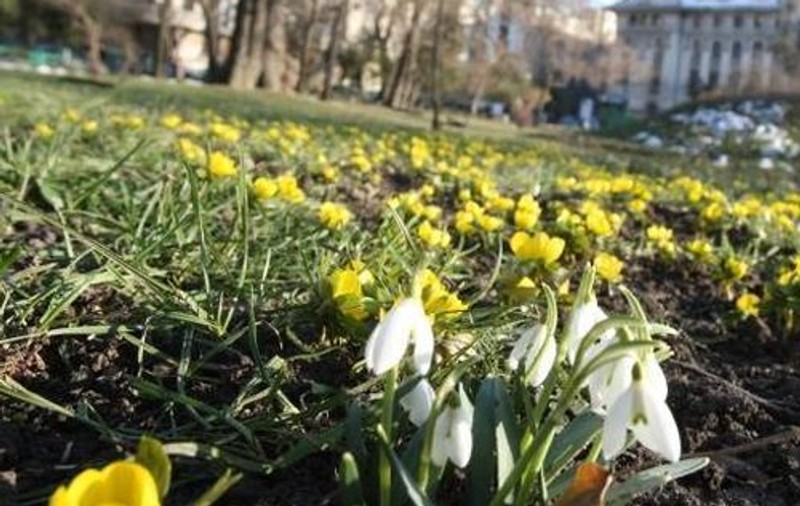 PROGNOZA METEO pentru săptămâna viitoare. Vezi cum va fi vremea de 1 Martie
