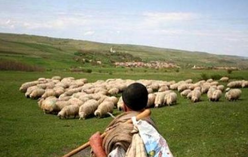 Cioban român în vârstă de 45 de ani, dispărut în zona muntoasă a provinciei Torino