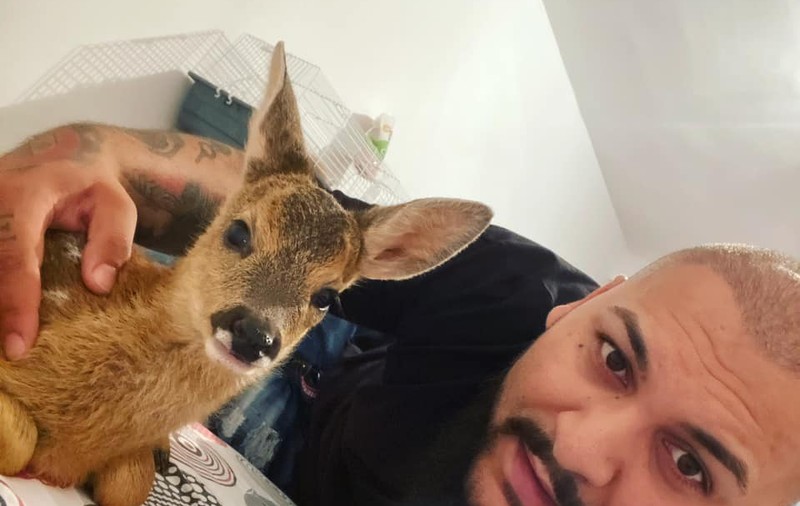 Manelistul Dani Mocanu a postat o fotografie cu un pui de căprioară și sfidează poliția: „Moș Nicolae, arestează-mă tu!”