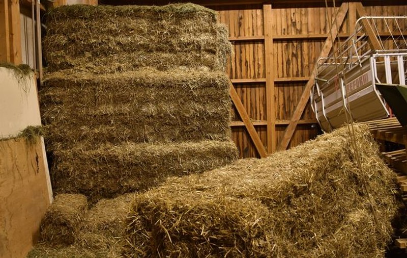 Un fermier din Elveția a murit strivit de un balot de fân de 400 de kilograme