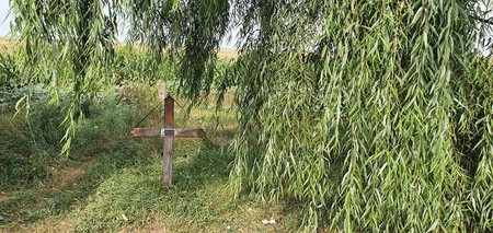 O cruce păzită de o salcie într-o parcare aflată între Adjud și Focșani