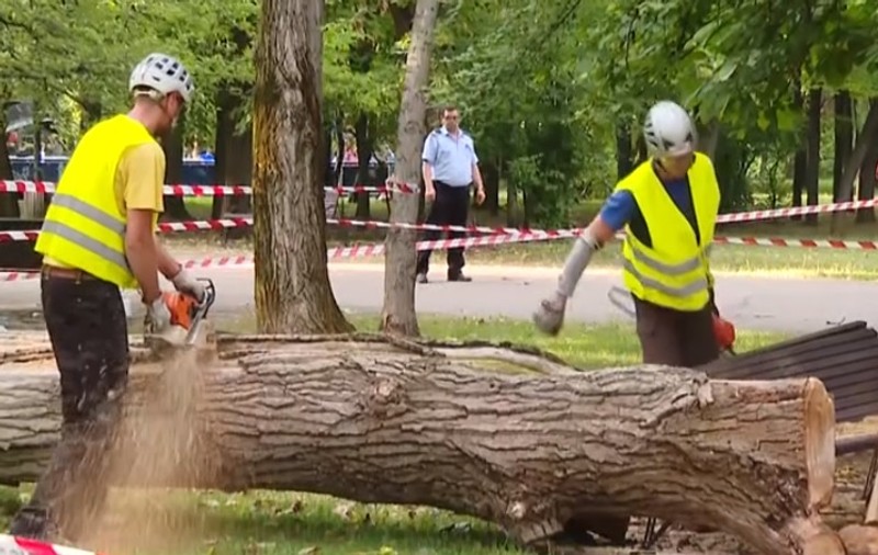 O femeie de 82 de ani, rănită grav în Parcul IOR din București, după ce un copac s-a prăbușit peste ea