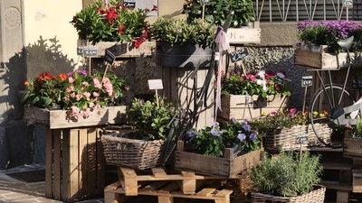 Săptămâna Ferragosto Italia