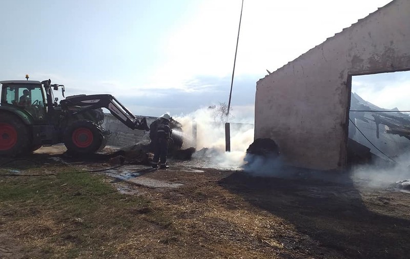 150 de miei au murit într-un incendiu la un adăpost de animale din Satu Mare