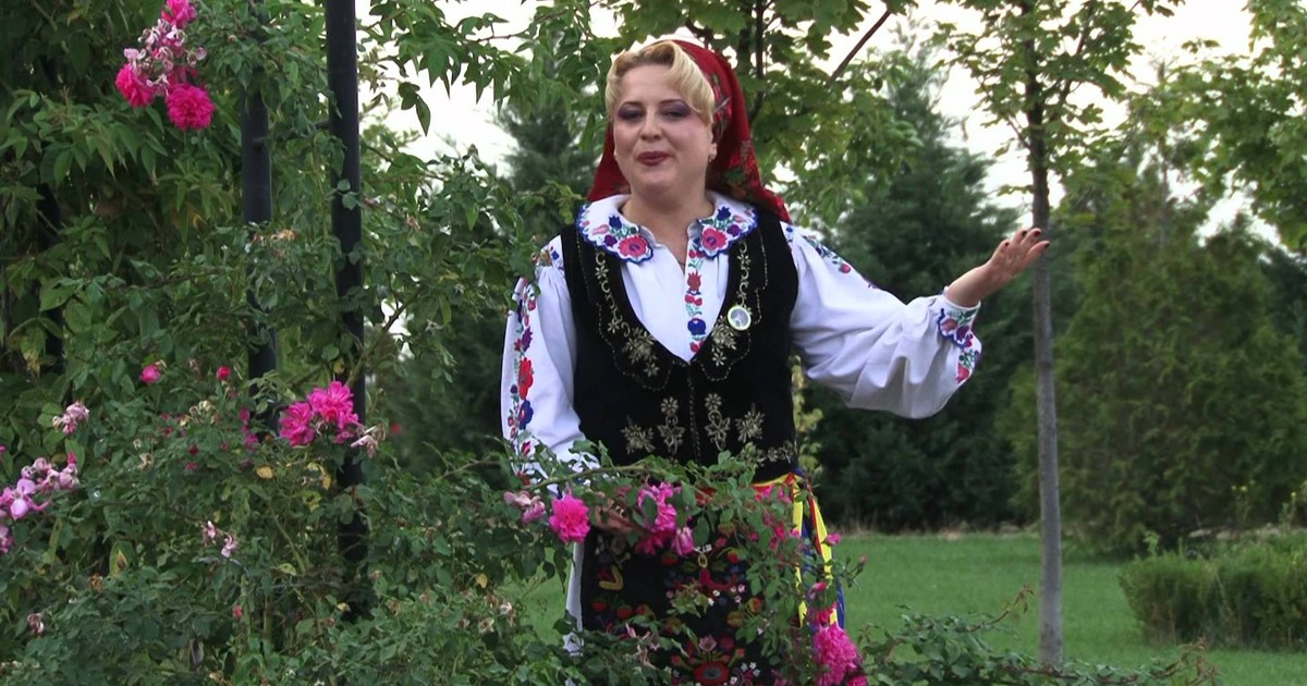 Arhiva foto