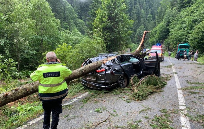 O femeie a murit pe Transalpina, după ce un copac doborât de vijelie a căzut peste mașina ei. Alte 14 vehicule, blocate