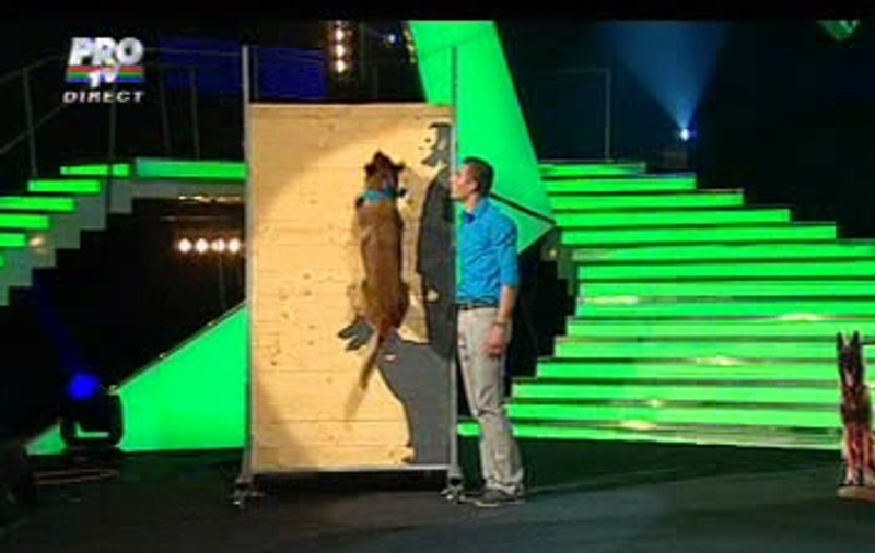 ”A fost fără greşeală”! Complimentul obţinut de un câine la ”Românii au talent”! FOTO