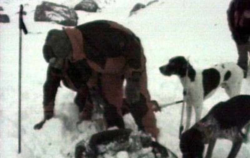 Cinci turişti ucişi de o avalanşă în Austria
