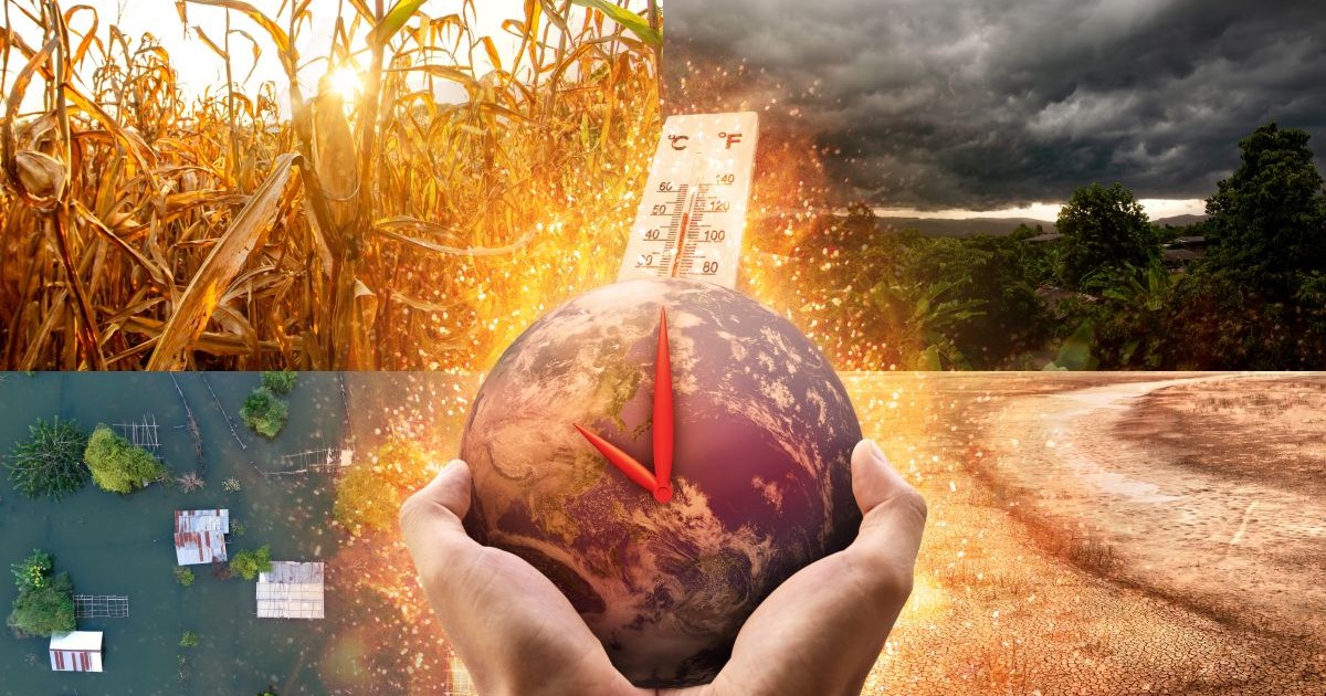 Numărătoare inversă cu ceas climatic ținut în mâini de un bărbat, iar în spate este un termometru. Imaginea este împărțită în patru și are spice uscate în soare, nori negri, secetă și inundații.