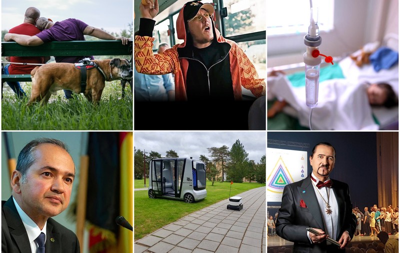 Vă recomandăm 6 super-lecturi de weekend. De la cuplurile gay care au dat în judecată statul român pentru a le respecta dreptul la viaţă de familie până la românul care a ajuns primar în Germania