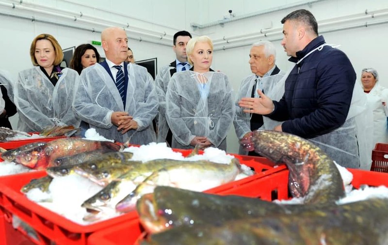 România trebuie să restituie UE banii pentru bursa de pește de la Tulcea. A fost închisă după inaugurarea premierului Dăncilă