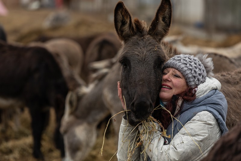 Daniela Popovici de la Măriuţa şi unul dintre măgarii de la adăpost