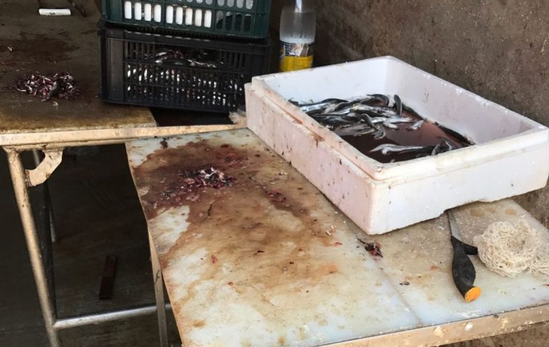 Șase restaurante și un fast-food au fost amendate în weekend pe Litoral